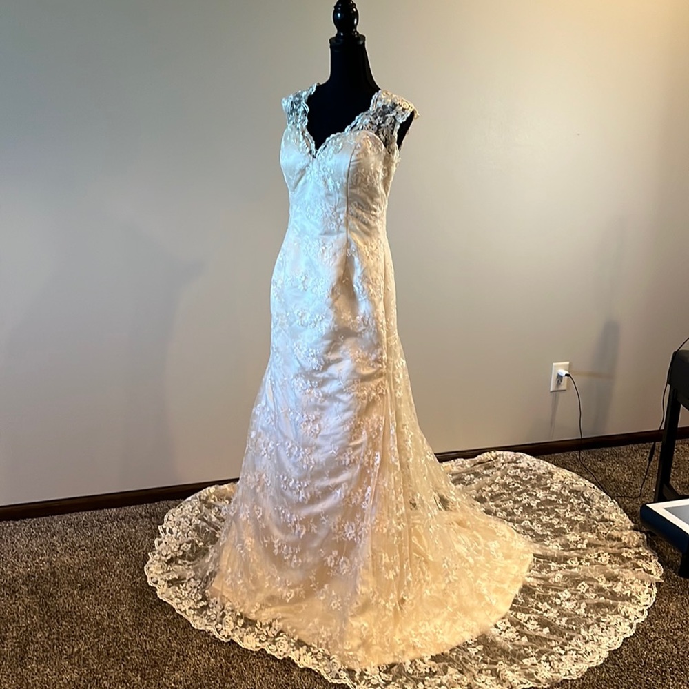 Beautiful wedding dress, never worn!